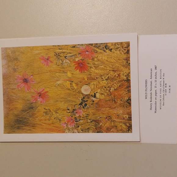 Vintage New Museum of Fine Arts, Boston Greeting Cards - Picture 12 of 16